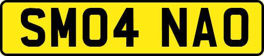 SM04NAO