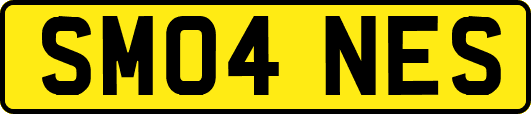SM04NES