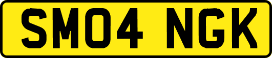 SM04NGK