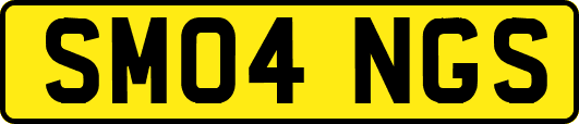 SM04NGS