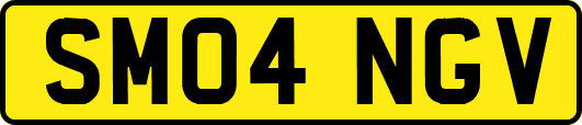 SM04NGV