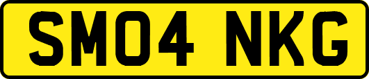 SM04NKG