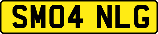 SM04NLG