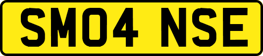 SM04NSE