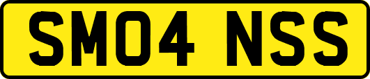 SM04NSS