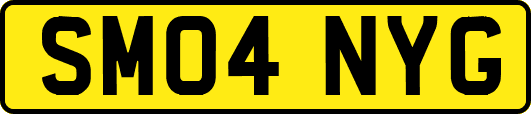 SM04NYG