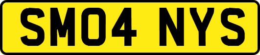 SM04NYS