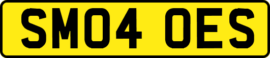 SM04OES
