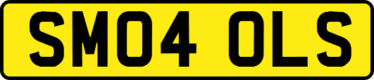 SM04OLS