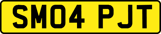 SM04PJT