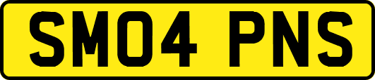 SM04PNS