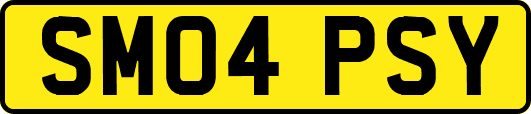 SM04PSY