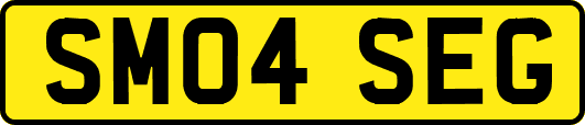 SM04SEG