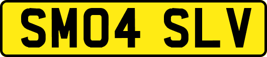 SM04SLV