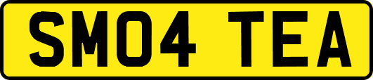 SM04TEA