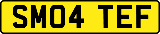 SM04TEF