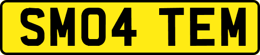 SM04TEM