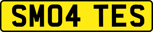 SM04TES