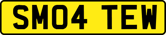 SM04TEW