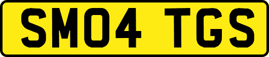 SM04TGS