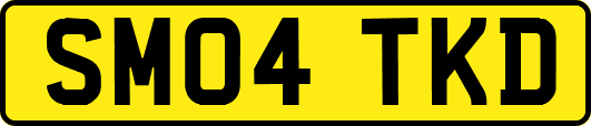 SM04TKD