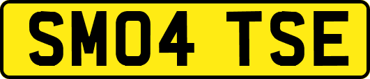SM04TSE