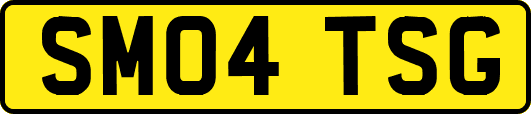 SM04TSG