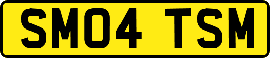 SM04TSM