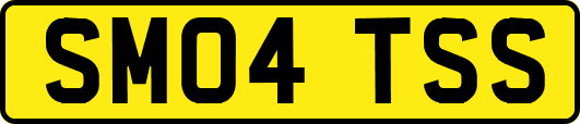 SM04TSS