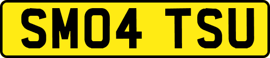 SM04TSU