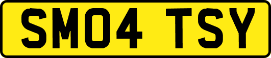 SM04TSY