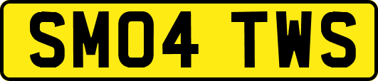 SM04TWS