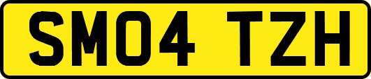 SM04TZH