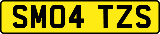 SM04TZS