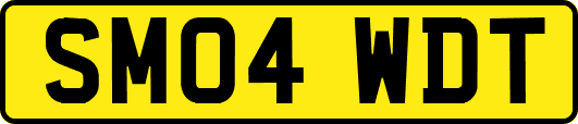 SM04WDT
