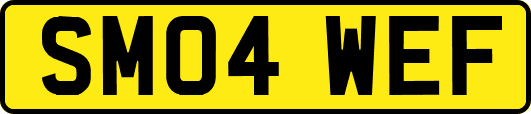 SM04WEF