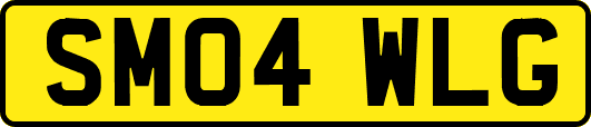 SM04WLG