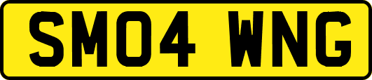 SM04WNG