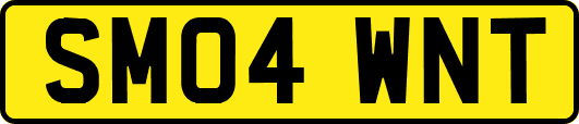 SM04WNT