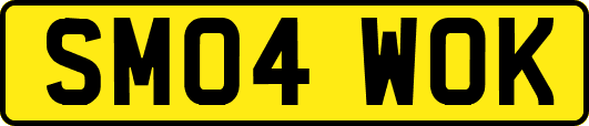 SM04WOK