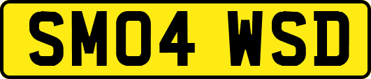 SM04WSD