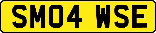 SM04WSE