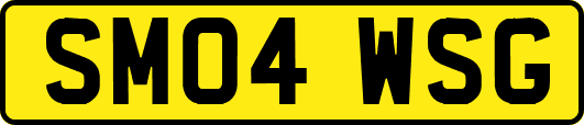 SM04WSG