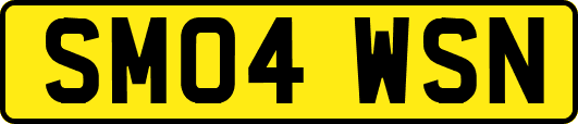SM04WSN