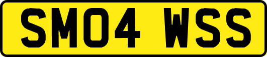 SM04WSS