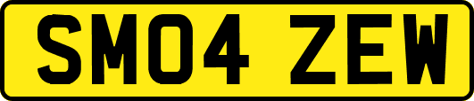 SM04ZEW