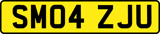 SM04ZJU