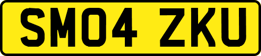 SM04ZKU