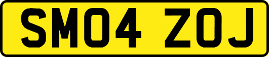 SM04ZOJ