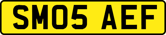 SM05AEF